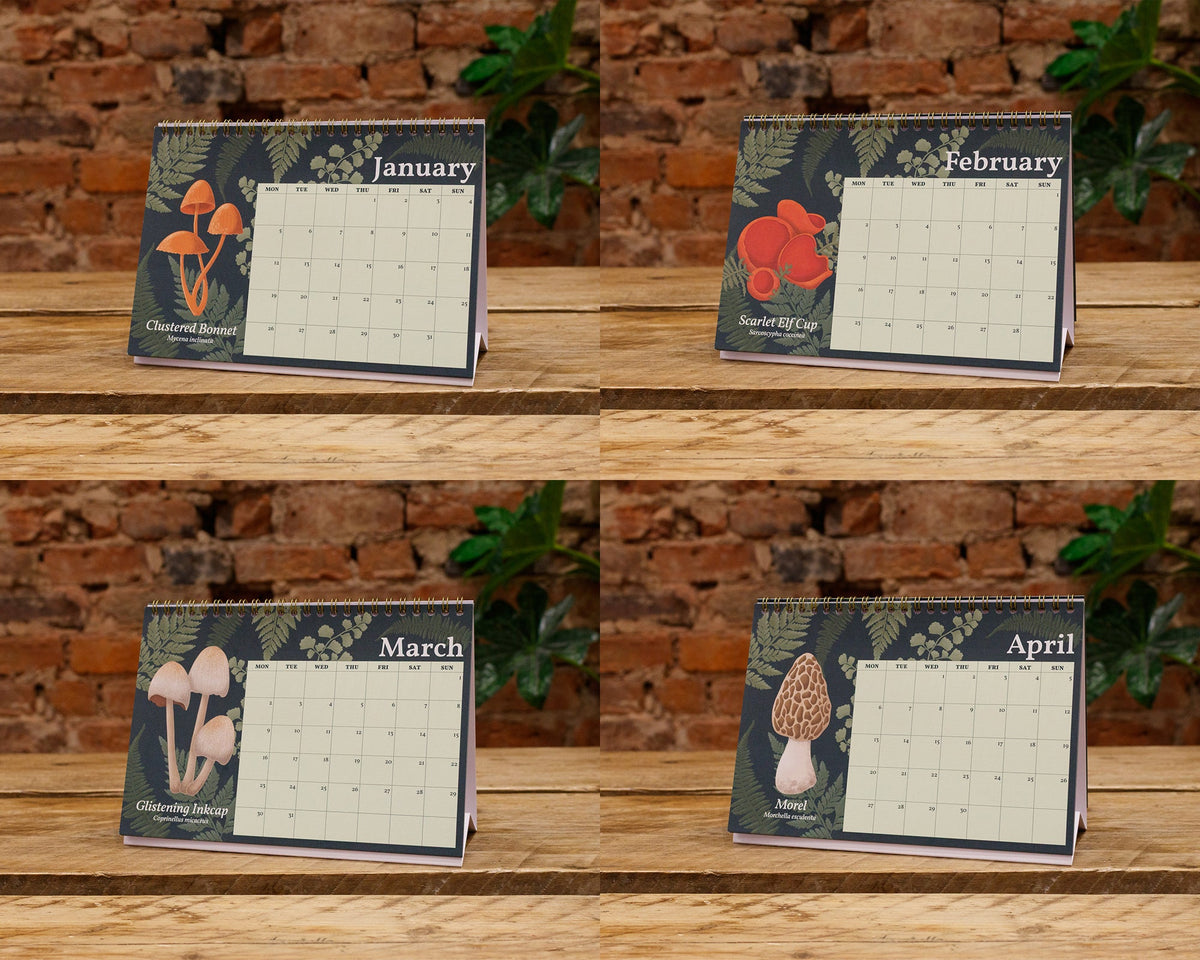 2026 Mushroom Desk Calendar - January, February, March and April Pages