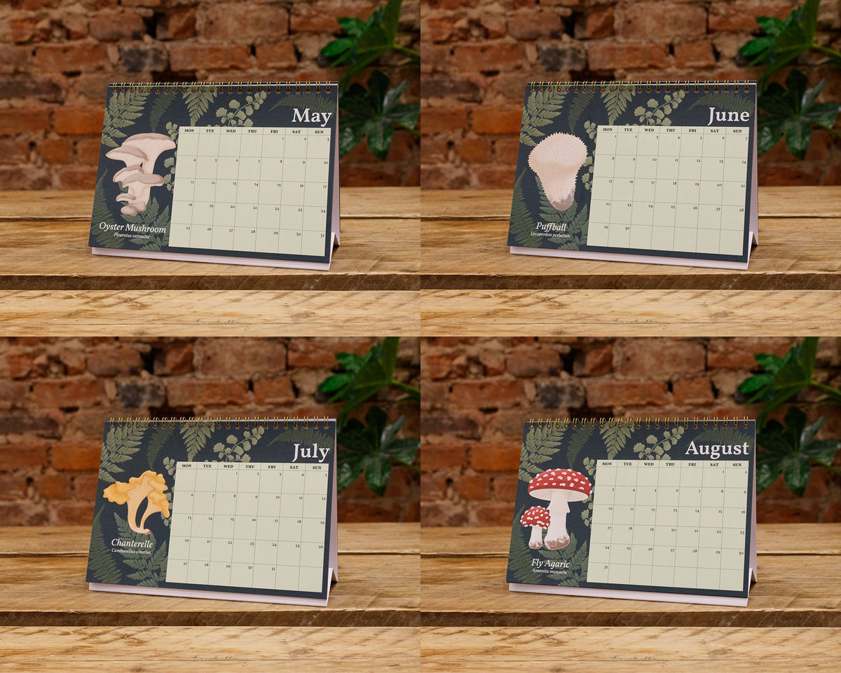 2026 Mushroom Desk Calendar - May, June, July and August Pages