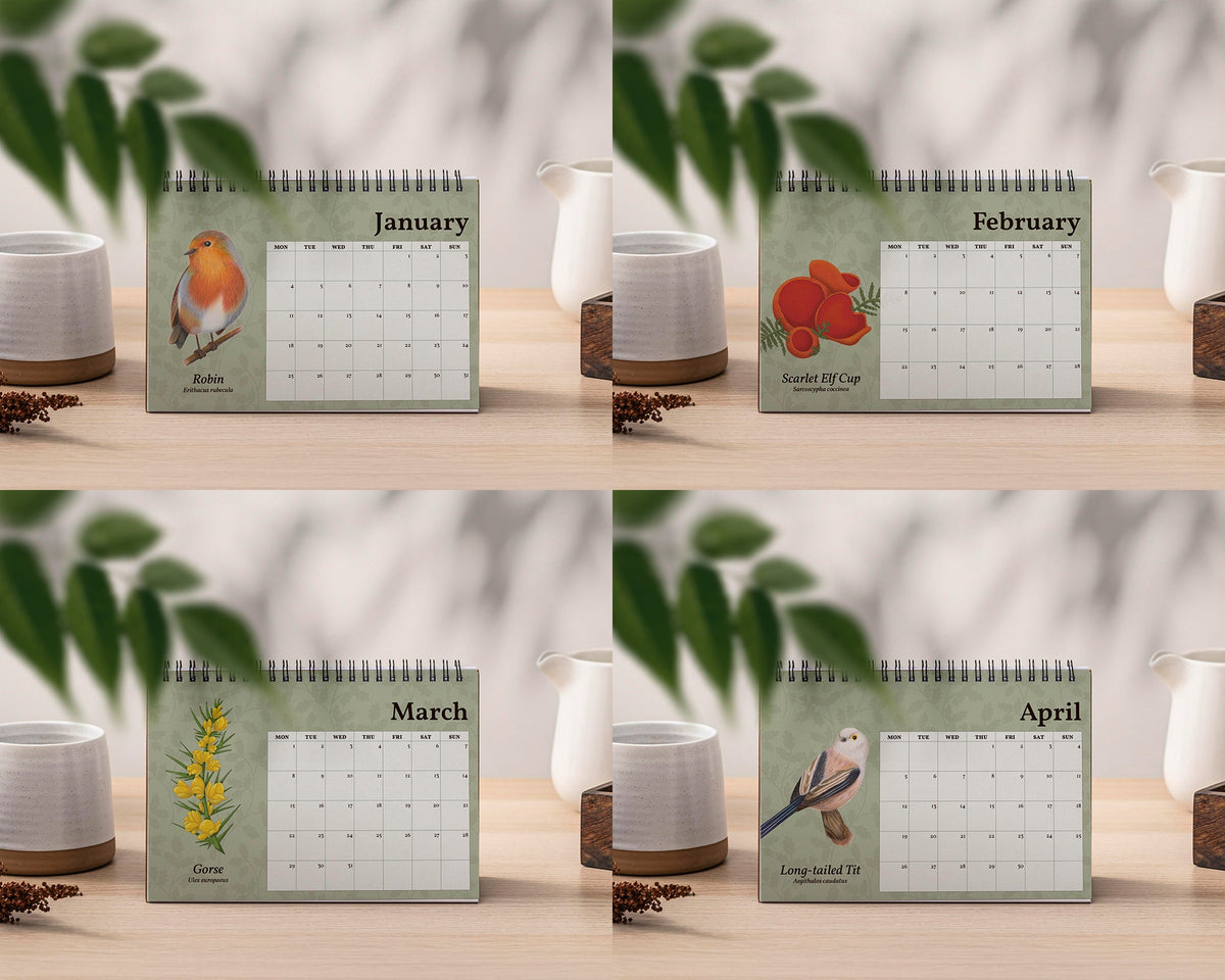 2027 British Wildlife Desk Calendar