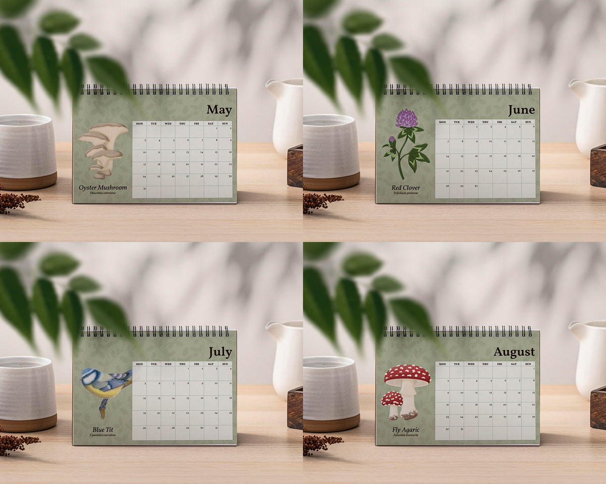 2027 British Wildlife Desk Calendar