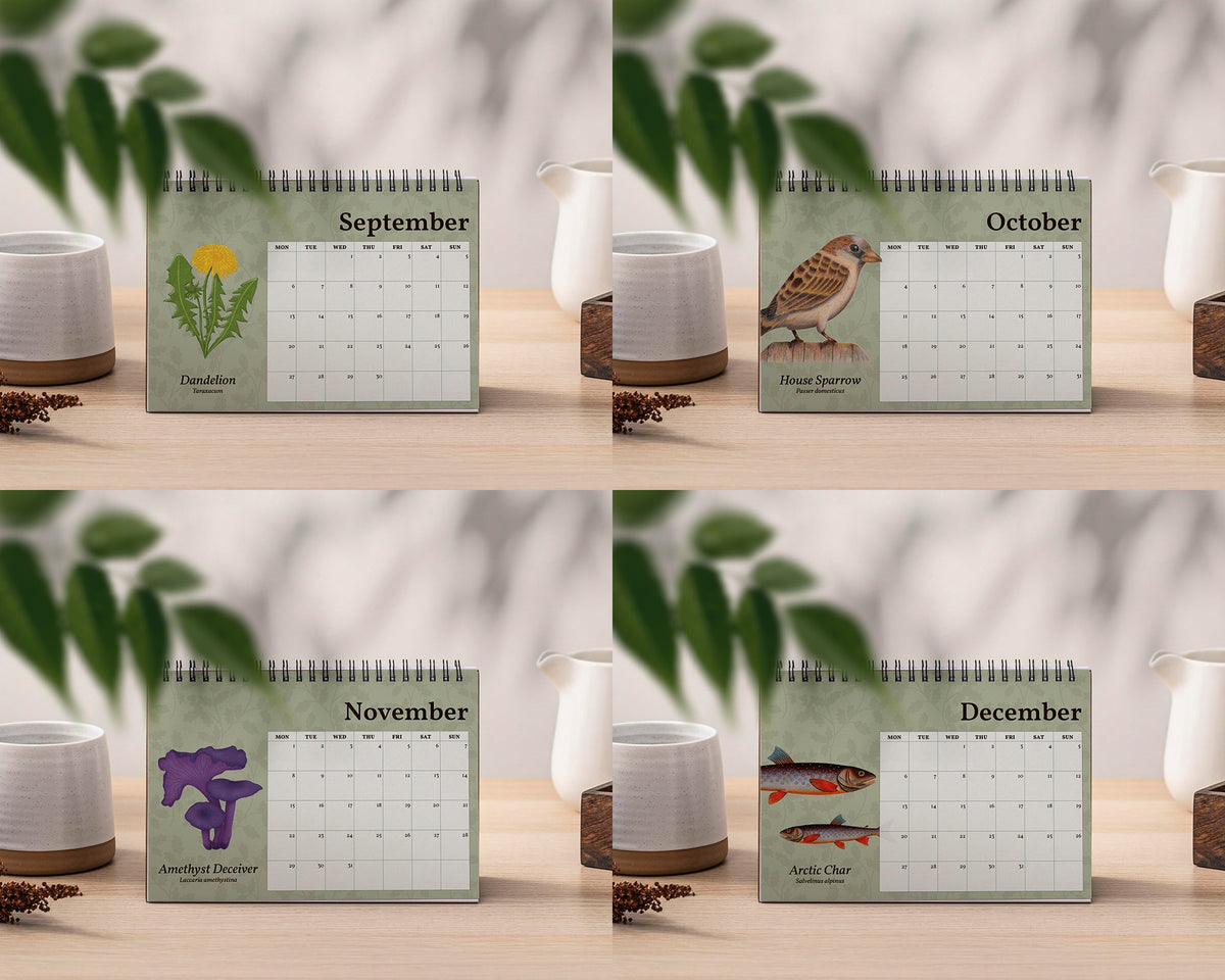 2027 British Wildlife Desk Calendar
