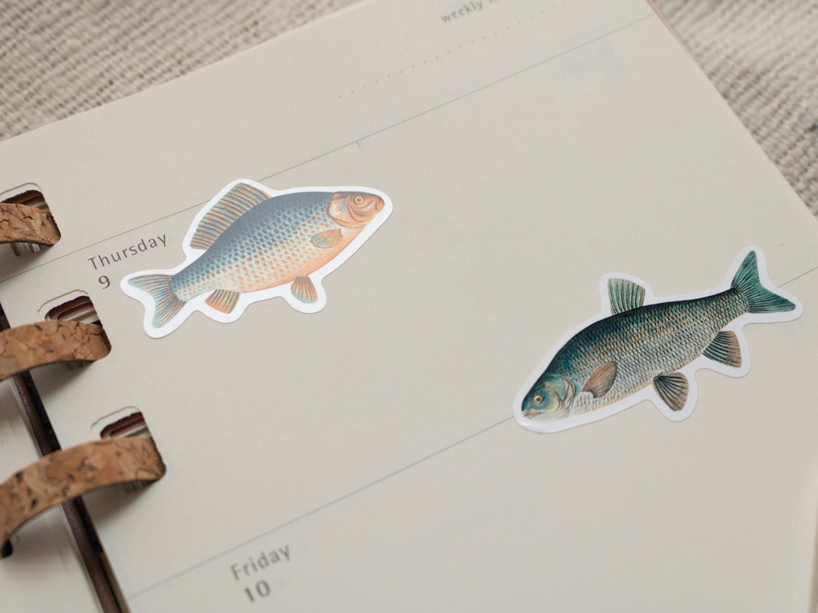 Two fish stickers on a planner page with a textured surface.