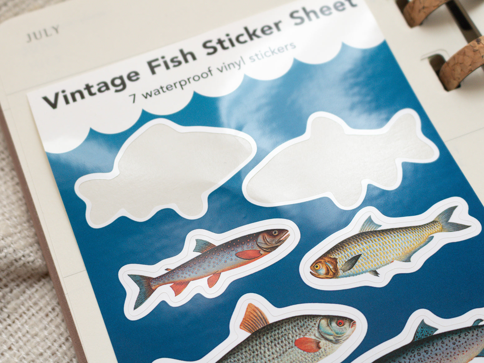 Vintage fish sticker sheet with waterproof vinyl stickers on a blue background