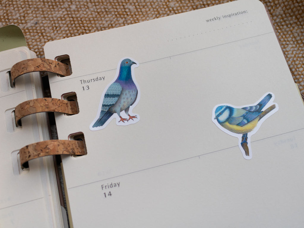 British Garden Birds - A6 Vinyl Sticker Sheet